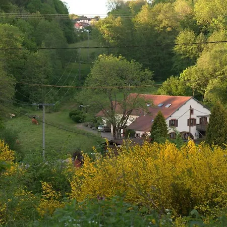 Vacance Conviviales Dans Les Vosges 8 דירה *
