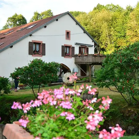 Vacance Conviviales Dans Les Vosges 8 公寓 *