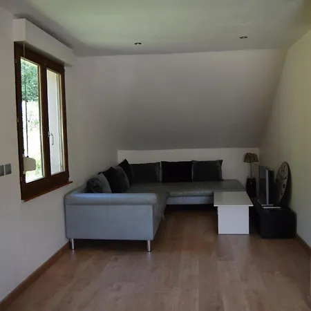 Vacance Conviviales Dans Les Vosges 8 Apartment Ban-de-Sapt