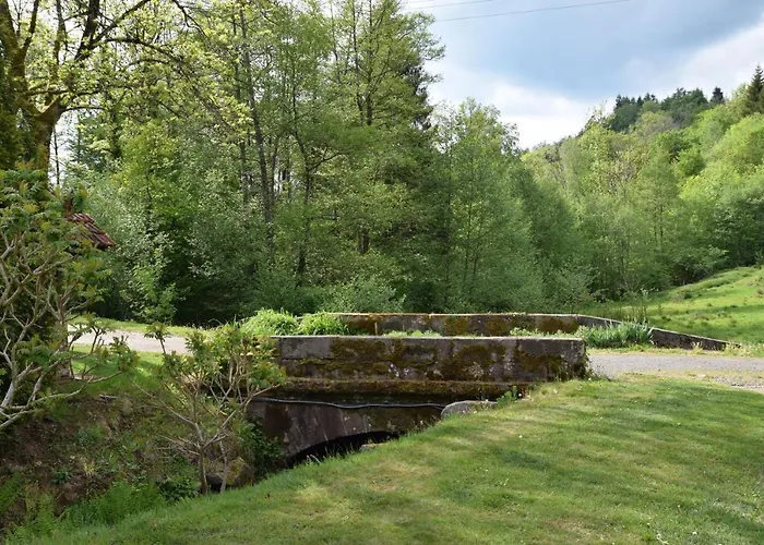 Vacance Conviviales Dans Les Vosges 8