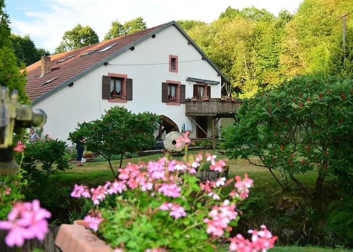 Vacance Conviviales Dans Les Vosges 8 Apartment *